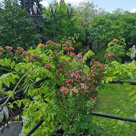 Petit Nid Pansiyon Strazburg